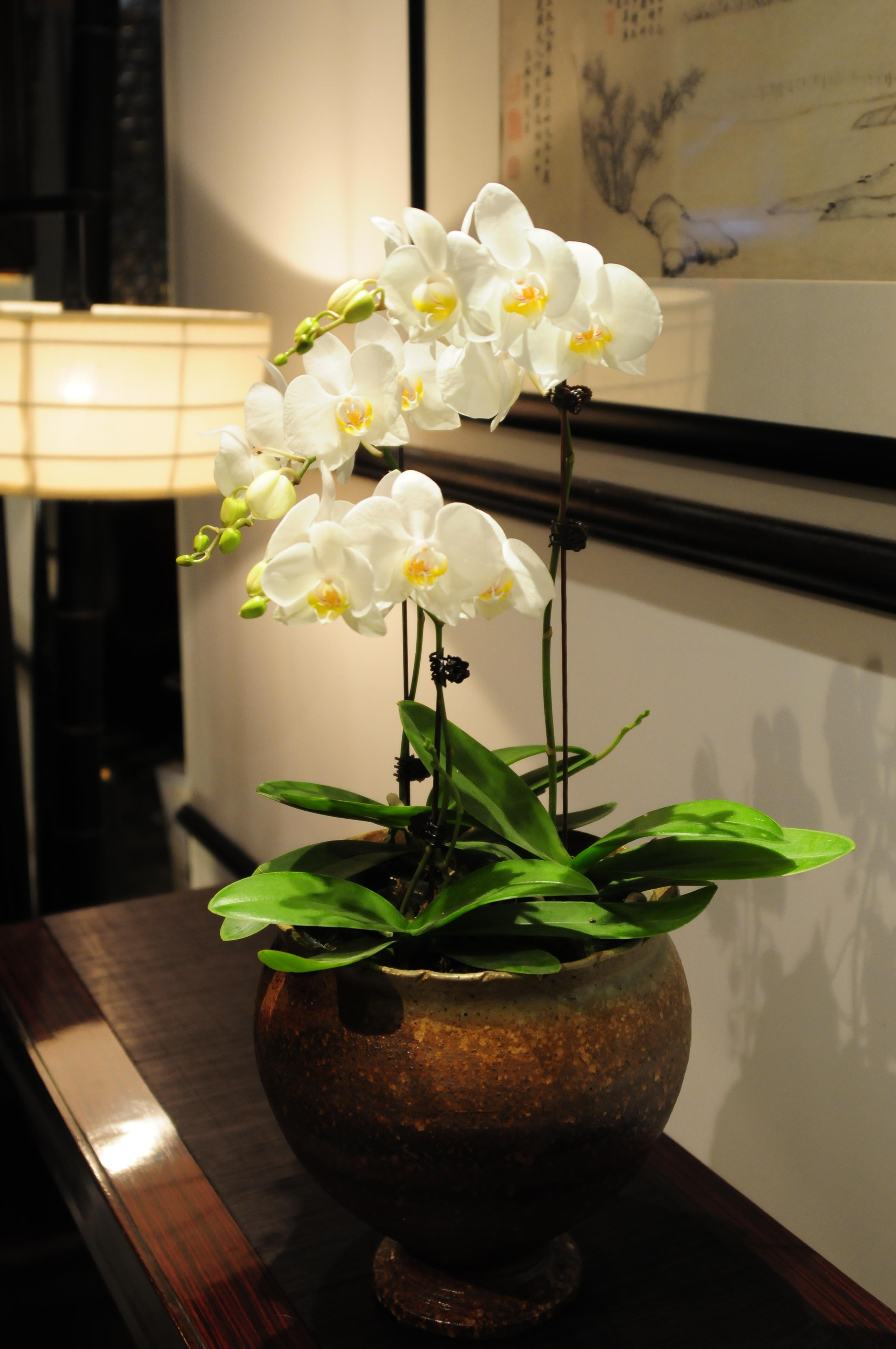 Redstar Culture Hotel Hangzhou Buitenkant foto